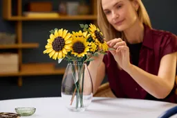 LEGO Botanicals 11502 Boeket met Zonnebloemen