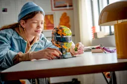 43023 F1 helmet Norris