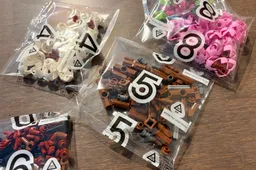 LEGO Botanicals 40725 cherry blossoms Bags