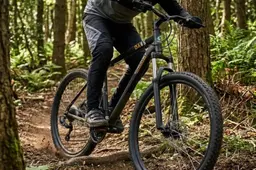 Action Mountainbike