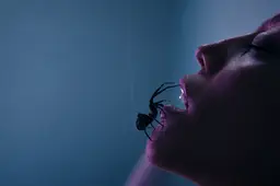 crawlers