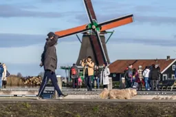 screenshot 20250416 111251