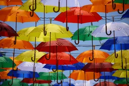 flower wind umbrella colourful color colorful art umbrellas hd wallpaper fashion accessory public domain images 915773