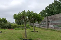 Screenshot_20250712_143233