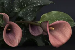 Screenshot_20251028_132015