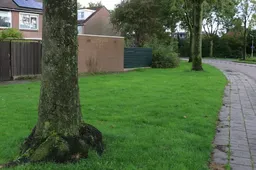 Screenshot_20251030_152407