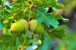 Screenshot_20251103_151346