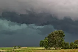 Screenshot_20251105_143551