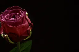 Screenshot_20251109_111229