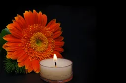 Screenshot_20251109_171915