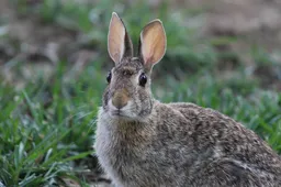 Screenshot_20251110_102536