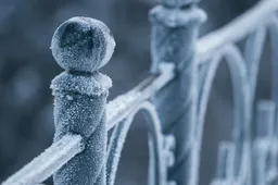 Screenshot_20251116_131454