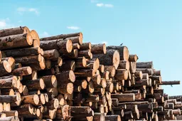 Screenshot_20251117_124738