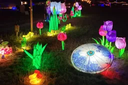 Screenshot_20251118_121550