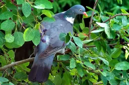 Screenshot_20251124_155455