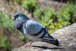 Screenshot_20251127_115912