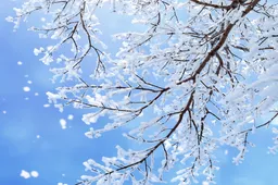 Screenshot_20251130_130139