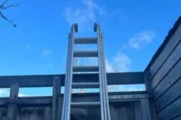 screenshot-20240118-113202