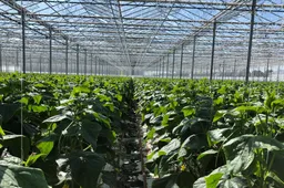 Screenshot_20251201_123228