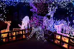 Screenshot_20251209_110206