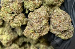 Screenshot_20251209_152143