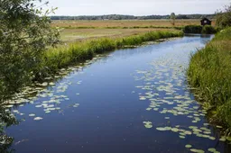 Screenshot_20251218_165302