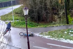 screenshot-20221215-175531