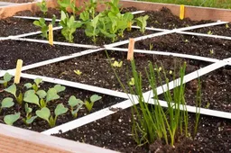 screenshot-20250404-093642-67ef8b8fd45a4