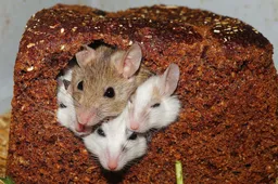 Screenshot_20260103_145528