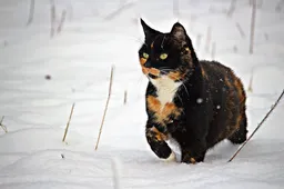 Screenshot_20260104_133304