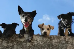 Screenshot_20260105_141729