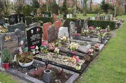 Screenshot_20260110_122416