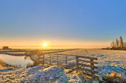 Screenshot_20260111_155836