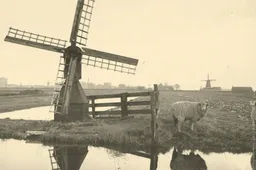 weidemolen-in-Guisveld-scaled-2560x1280