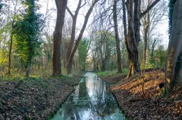 screenshot-20220210-172539 (1)