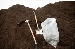 Screenshot_20260206_123742