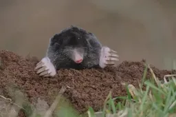 Screenshot_20260207_095935