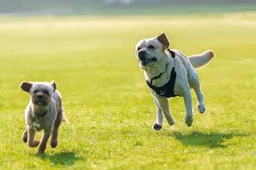 Screenshot_20260221_110211