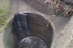 Screenshot_20260223_111733