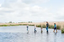 Screenshot_20260303_105742