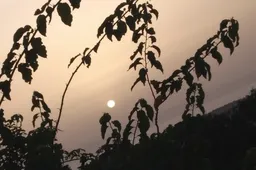 Screenshot_20260303_114033