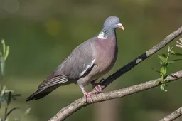 Screenshot_20260305_104809