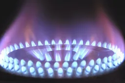 Screenshot_20260305_153937