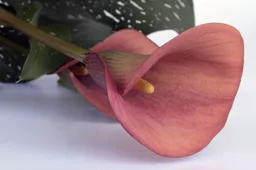 Screenshot_20260308_102516