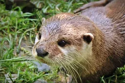 Screenshot_20260309_101920