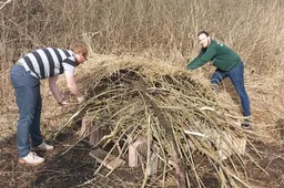 Screenshot_20260310_091944