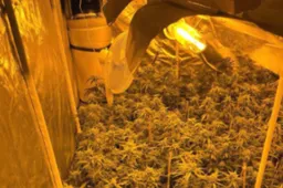 Screenshot_20260324_161610