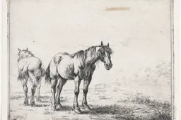 Twee_paarden_in_een_landschap_Paarden_(serietitel),_RP-P-OB-60.581