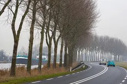 Bomen langs Nweg_928_550