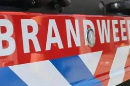 screenshot-20220803-121019-915x518-1-915x518-1-6731f70a93a17jpg-67d430cb5b60e-1jpg-681f9bff22da9-68ef5f8608a19-69492498f38fd-6999713c08cce